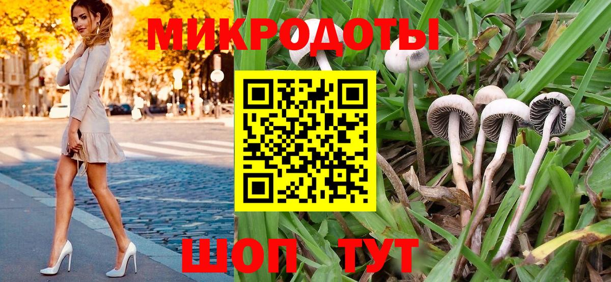 Псилоцибиновые грибы мухоморы  Вход с VPN  даркнет сайт  Биробиджан  Галлюциногенные грибы MAGIC MUSHROOMS 