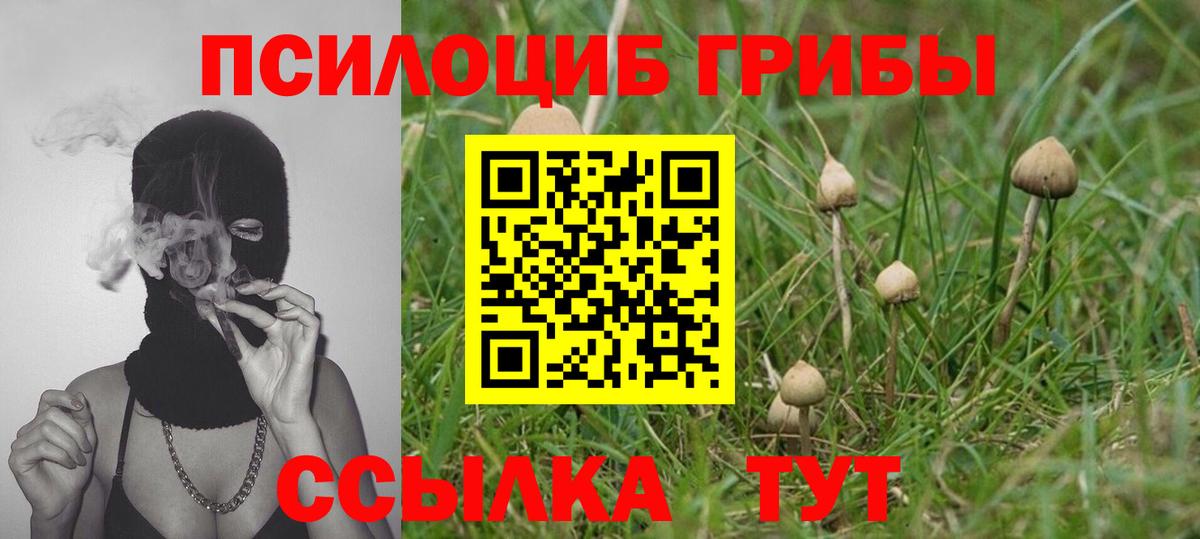 Галлюциногенные грибы Биробиджан