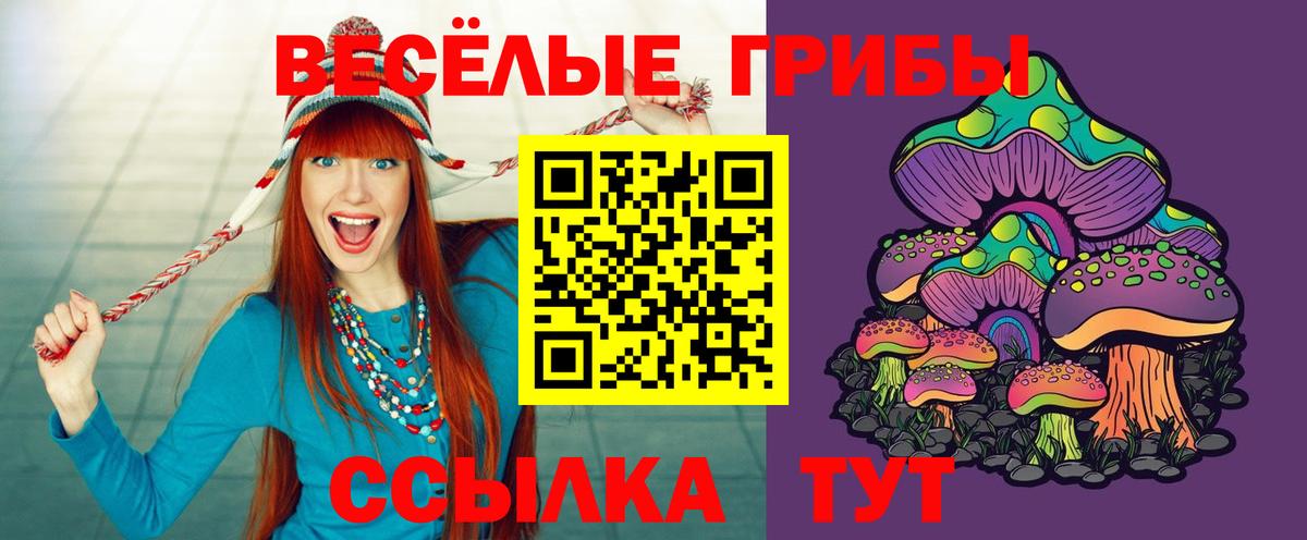 Галлюциногенные грибы мицелий Биробиджан